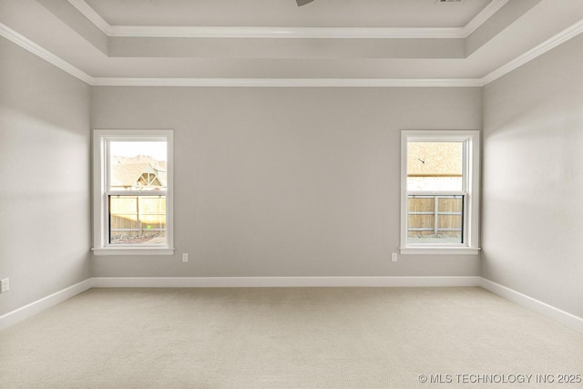 unfurnished room featuring a tray ceiling, light carpet, and crown molding