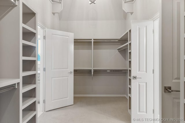 spacious closet featuring carpet flooring