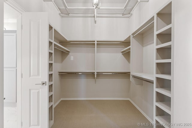 spacious closet featuring carpet