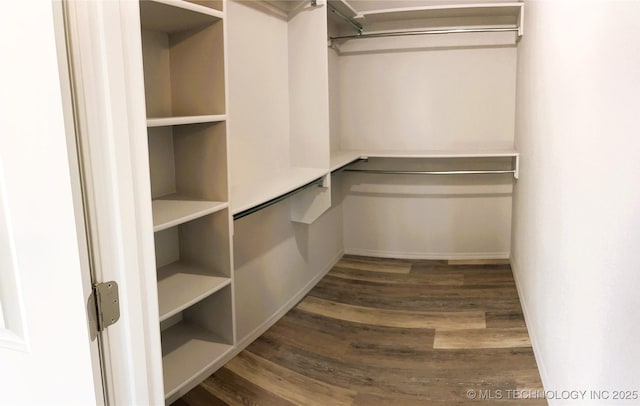spacious closet featuring wood finished floors