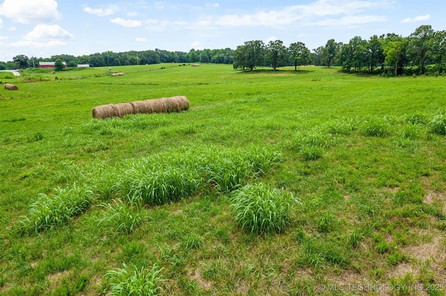 view of yard with a rural view