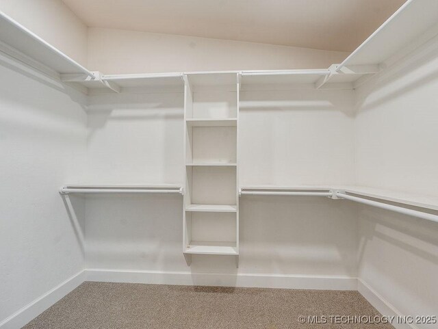 spacious closet with carpet floors