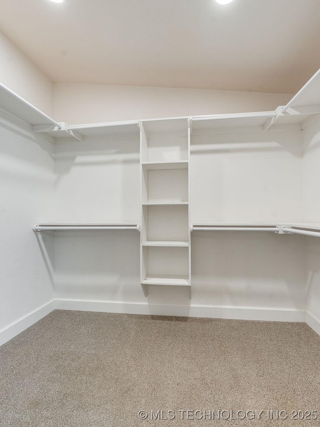 view of spacious closet