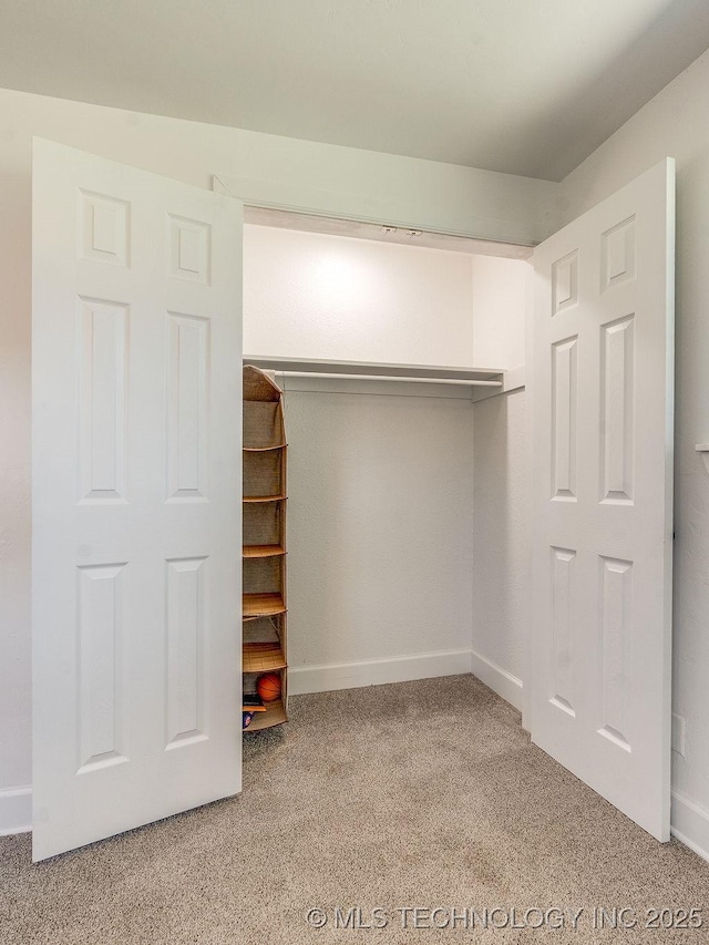 walk in closet with light colored carpet