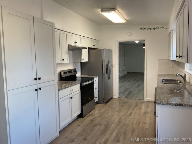 kitchen with light wood-type flooring, a sink, under cabinet range hood, tasteful backsplash, and stainless steel appliances