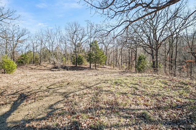 view of local wilderness