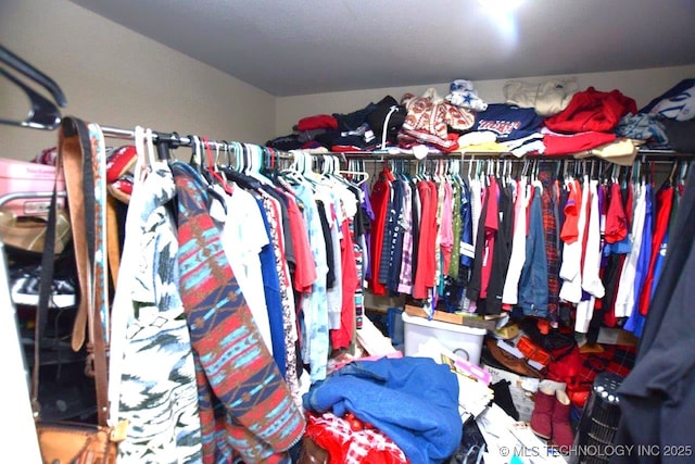 view of spacious closet