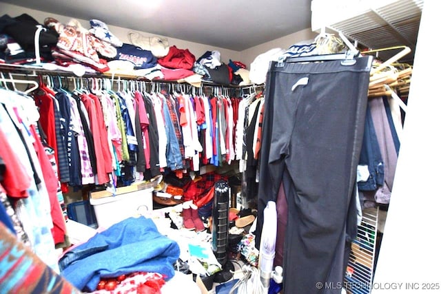 view of walk in closet