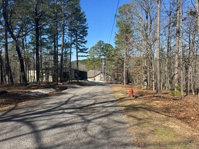 view of street featuring a wooded view and driveway