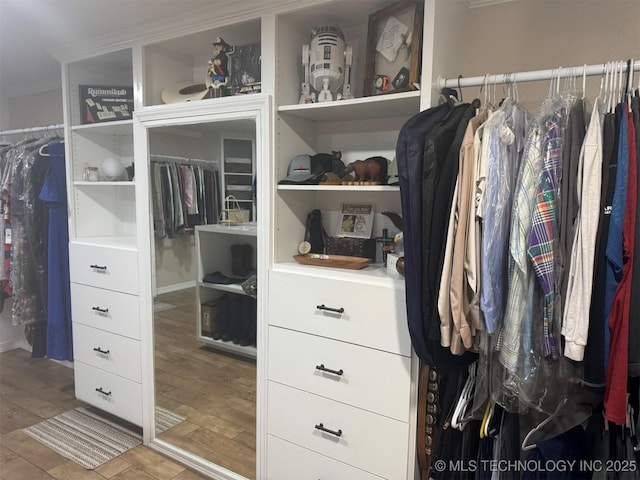 spacious closet featuring wood finished floors