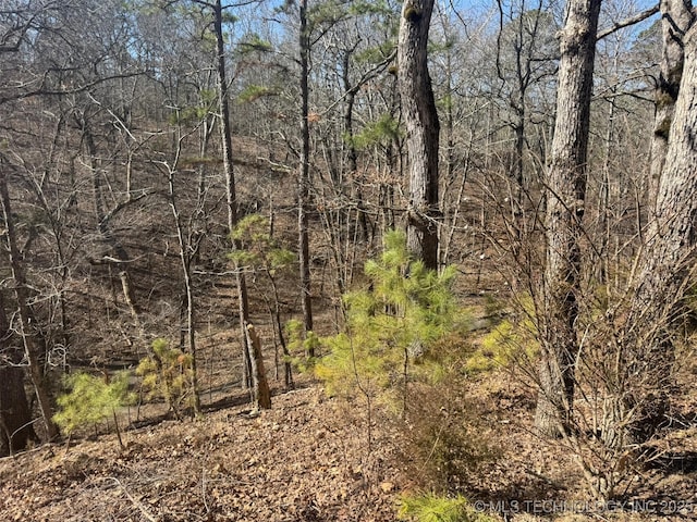 view of nature featuring a forest view