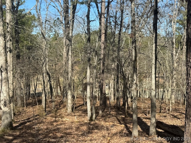 view of nature with a wooded view