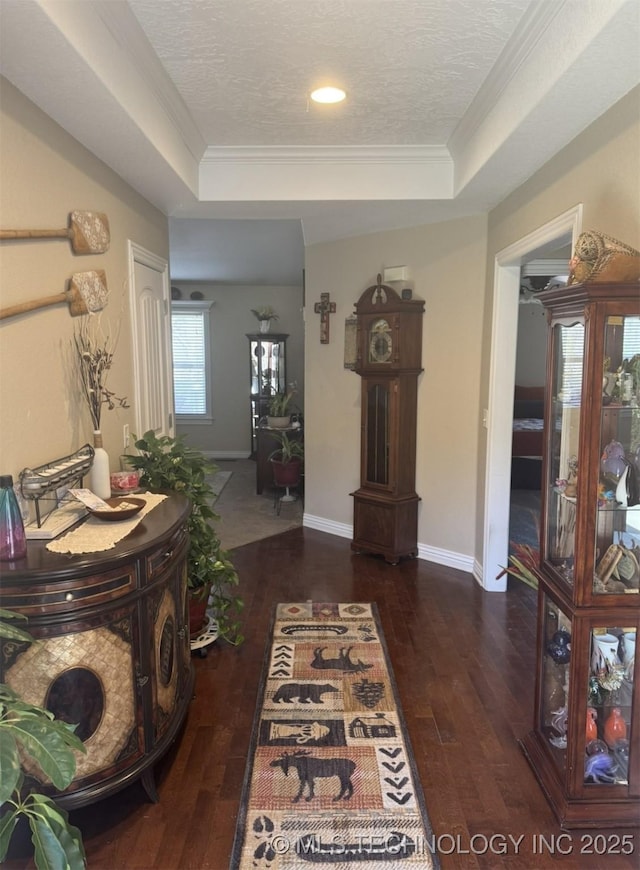 hall featuring a raised ceiling, a healthy amount of sunlight, and wood finished floors