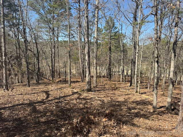 view of landscape featuring a view of trees