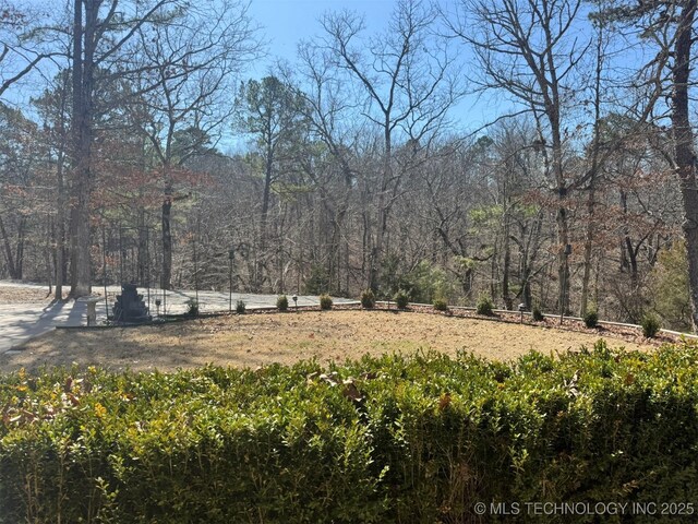 view of yard with a wooded view