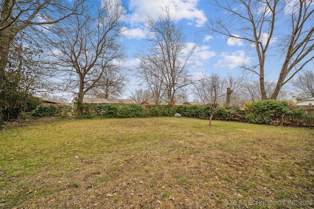 view of yard featuring a fenced backyard