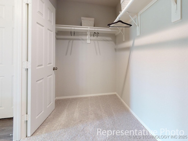 27314 E 117th Pl S, Coweta, OK 74429 - walk in closet with carpet flooring