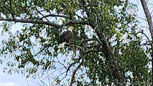 1522 Burney Cemetary, Calera, OK 74730 - view of details