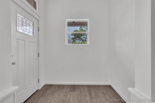 foyer with plenty of natural light, wood finished floors, and baseboards