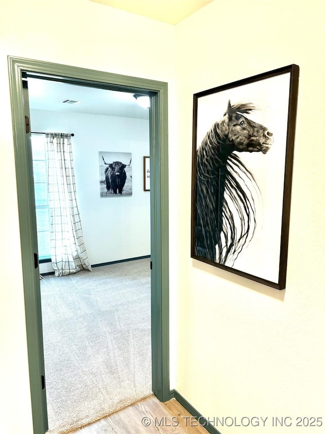 hallway featuring carpet flooring, baseboards, and wood finished floors