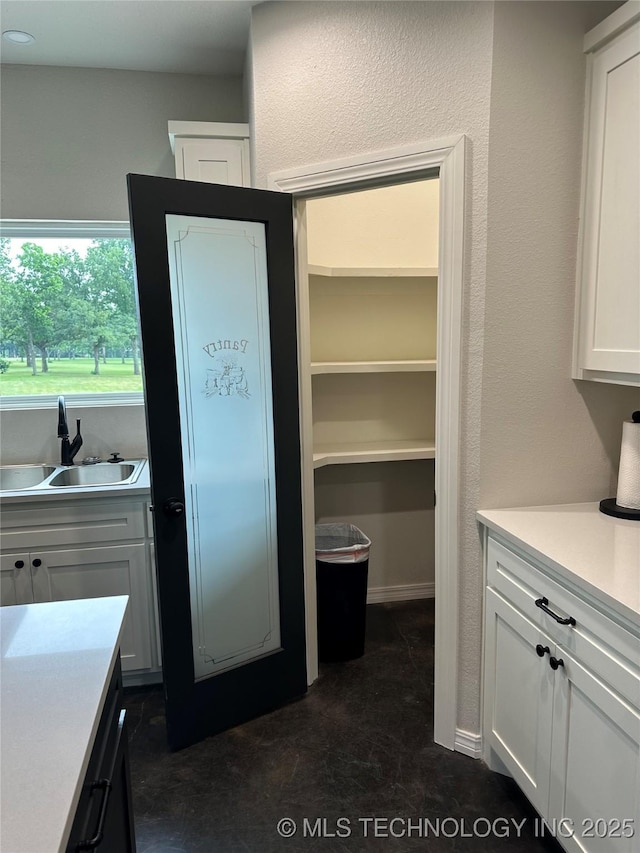 pantry with a sink