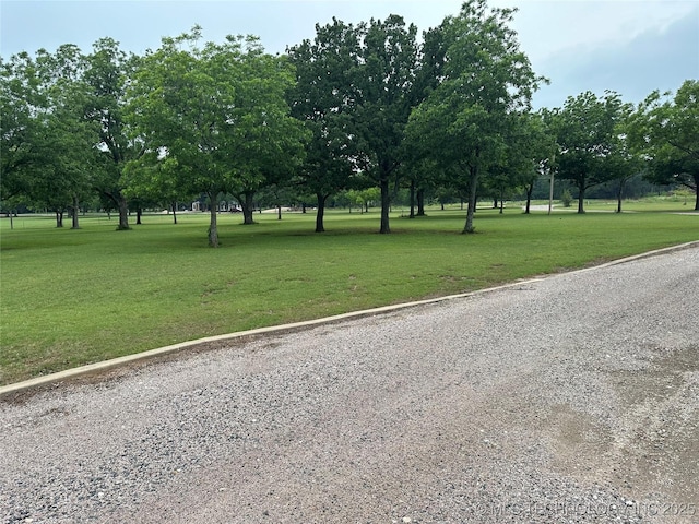 view of community featuring a lawn