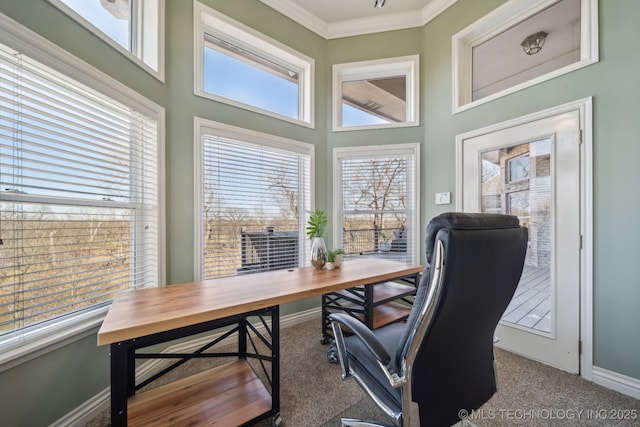 office with plenty of natural light, carpet floors, and crown molding