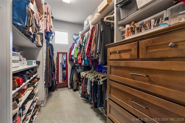 walk in closet with carpet flooring