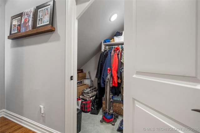 view of walk in closet