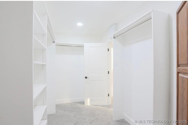 walk in closet with carpet floors