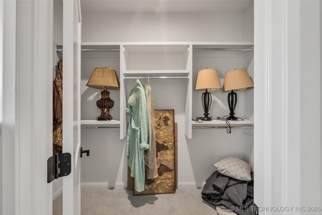 walk in closet featuring carpet floors