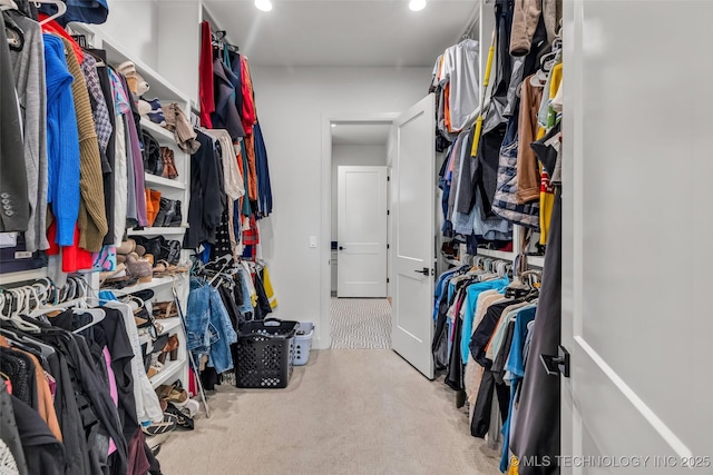 spacious closet with carpet