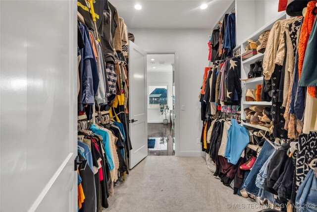 walk in closet featuring carpet flooring