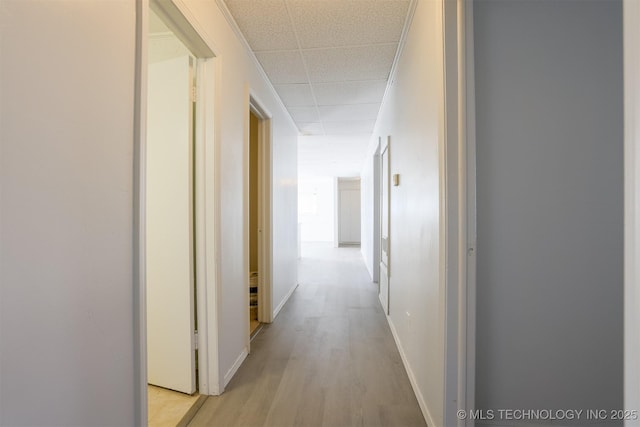 hallway with a drop ceiling, baseboards, and light wood-style floors