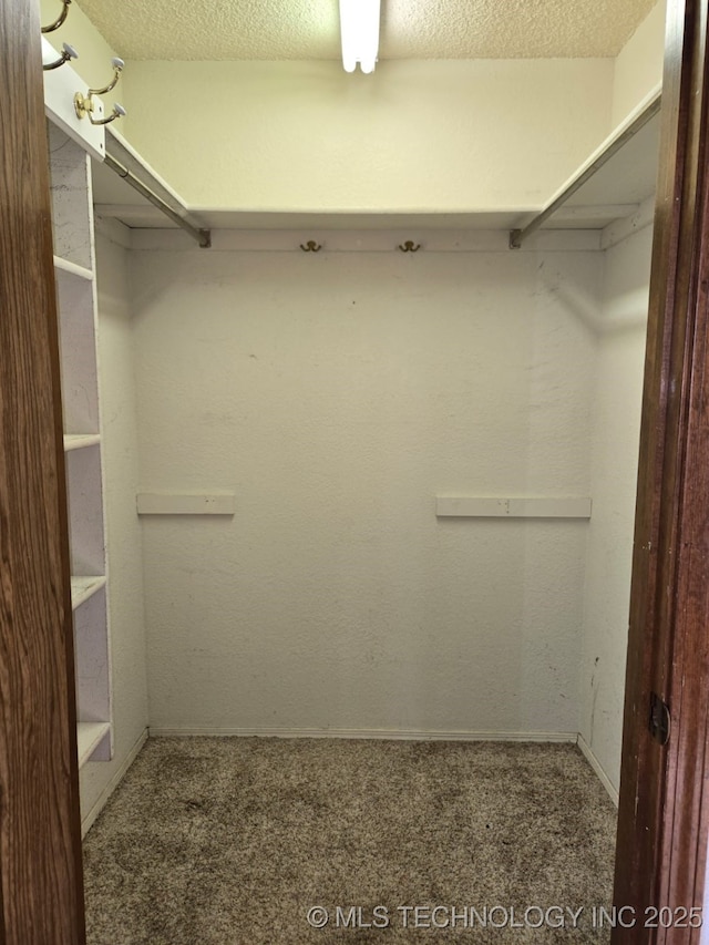 walk in closet featuring carpet