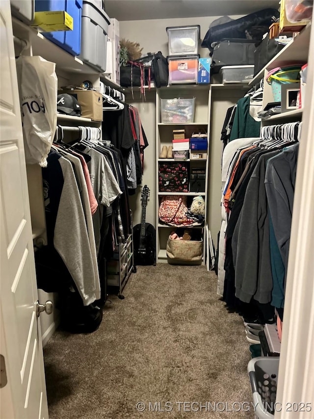 walk in closet with carpet floors