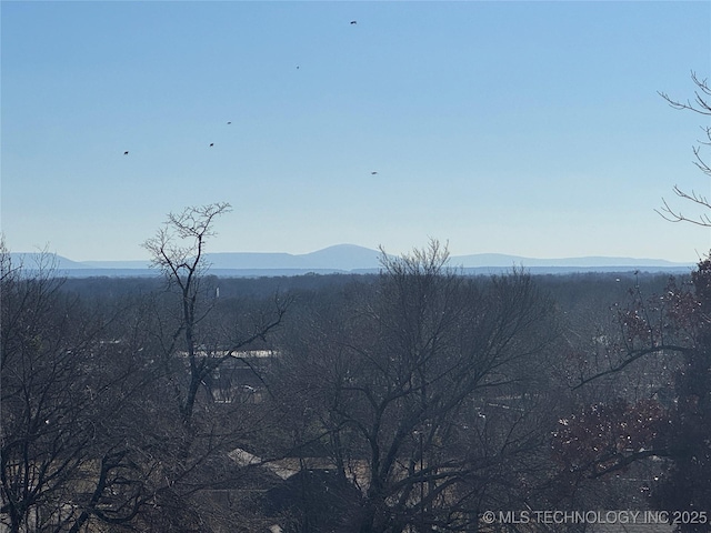 view of mountain feature