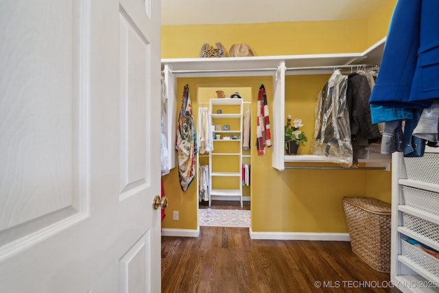 walk in closet featuring wood finished floors