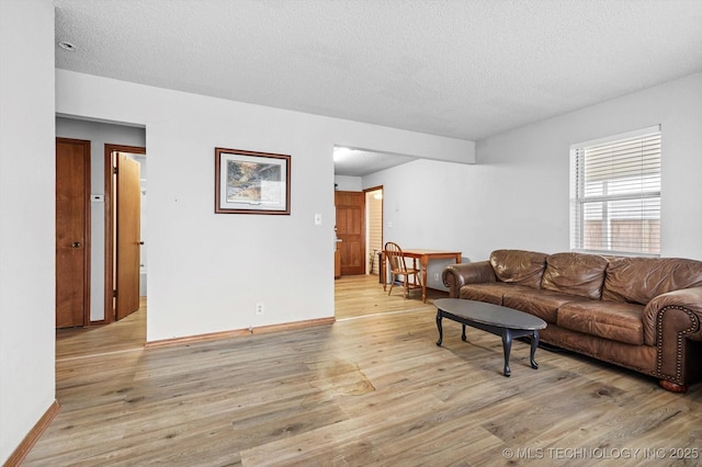 living area featuring baseboards, light wood finished floors, and a textured ceiling