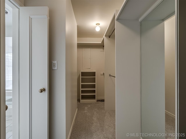 spacious closet with carpet floors