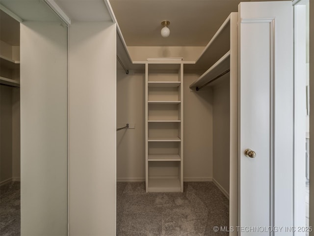 spacious closet with carpet flooring