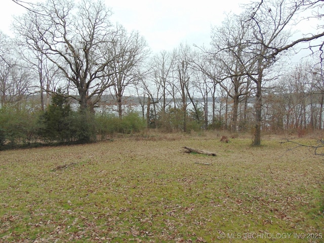 view of yard with a water view