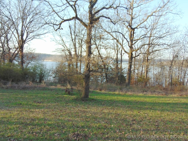 view of yard featuring a water view