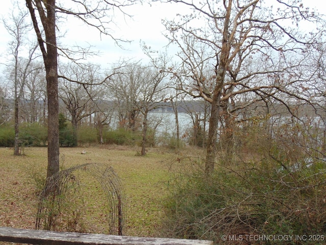 view of yard with a water view