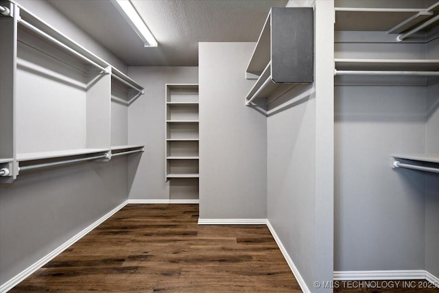 walk in closet featuring dark wood-style floors