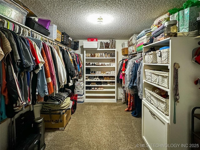 walk in closet with carpet flooring