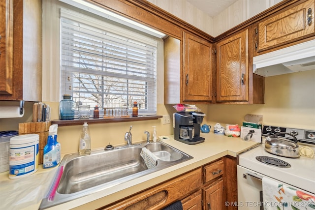 kitchen featuring brown cabinets, a sink, under cabinet range hood, white electric range oven, and light countertops