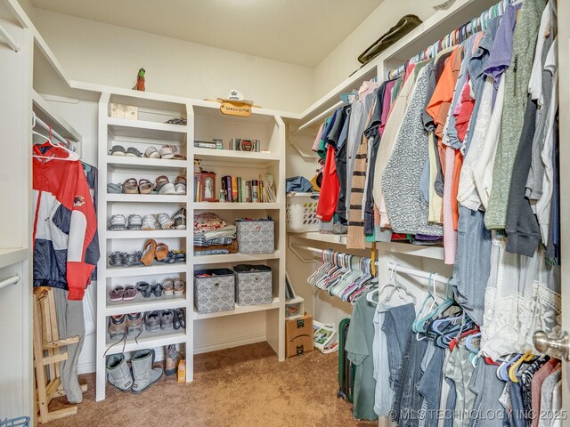 spacious closet featuring carpet