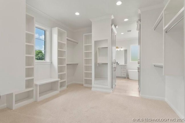 walk in closet featuring light colored carpet