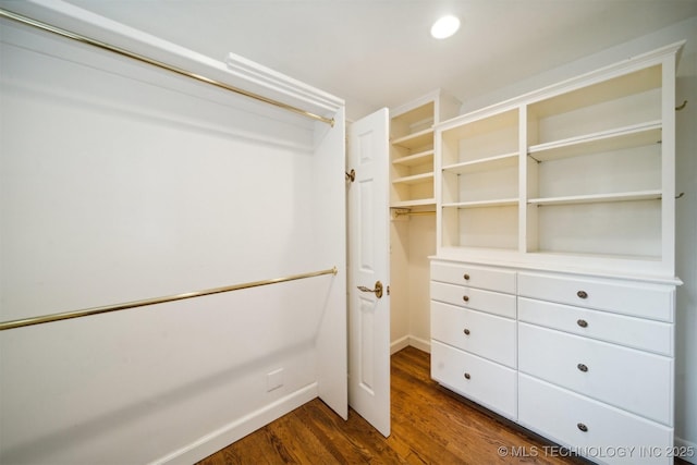 spacious closet featuring dark wood finished floors